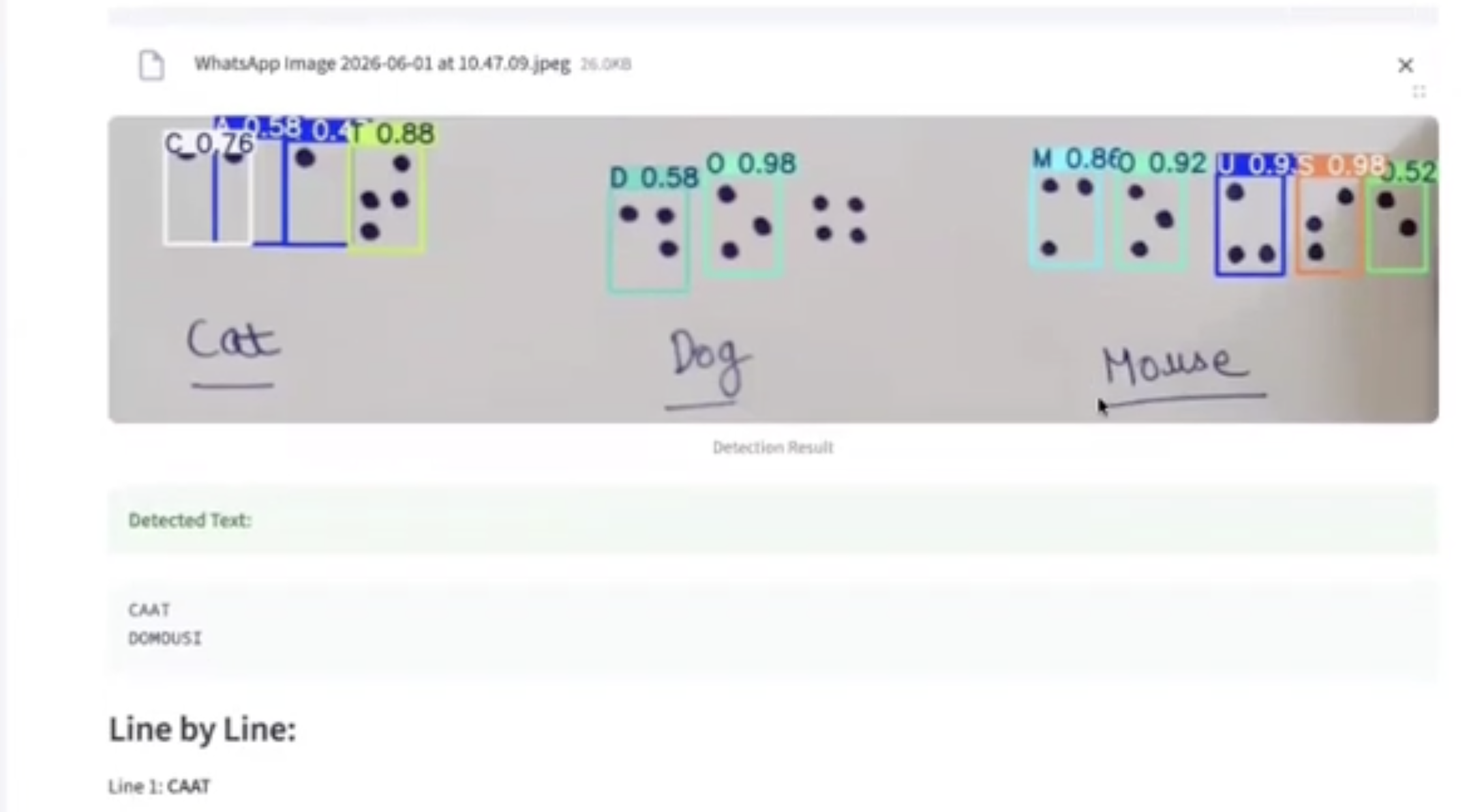 BrailleVision product screenshot